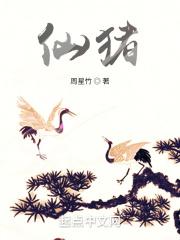 仙猪国国王百度