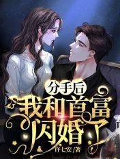 分手后我和首富闪婚了百度