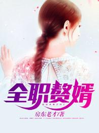 全职赘婿简介
