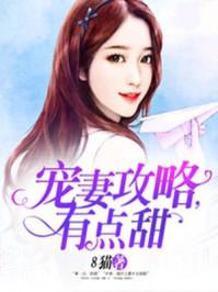 宠妻攻略霸道老公太难缠