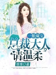 一胎双宝总裁大人请温柔免费阅读
