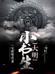 大明小书生TXT奇书网