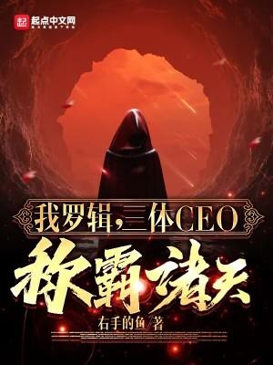 我的三体·罗辑传