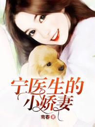 宁医生的医见倾心徐安安