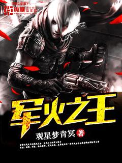 军火之王完整版