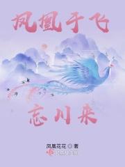 凤凰于飞歌曲什么意思