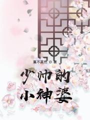 少帅的神秘心宠