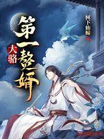 第一赘婿怎么样