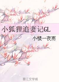 小狐狸txt