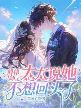 傅律师太太说她不回头了正版