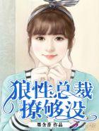 狼性总裁小小妻
