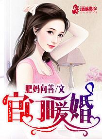 暖婚的官场