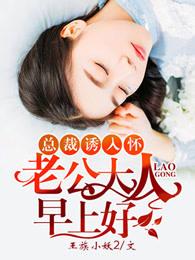 吻安总裁老公