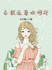 总裁追妻太辛苦全文免费阅读