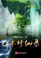 乙木修仙录女主角有几个