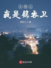 大明之我是锦衣卫杨小绵免费阅读