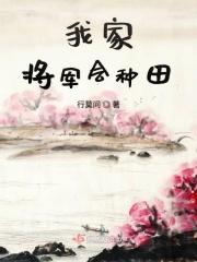 我家将军有点傻无弹窗