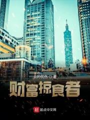 财富掠夺与反掠夺