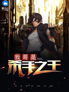 我哥是杀手之王在线观看