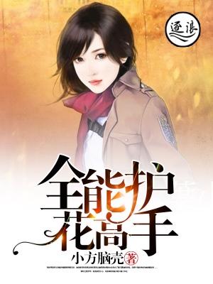 妻子的谎言电视剧剧情介绍