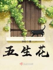 我把自己养成了主角为什么不更新