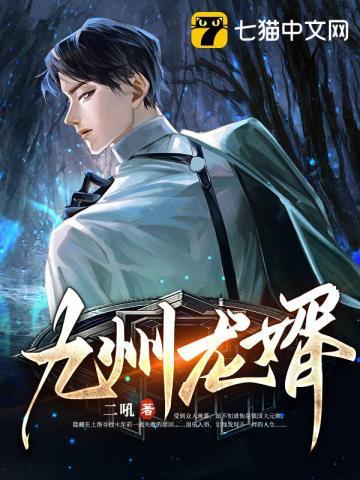 九州龙婿 九州龙婿