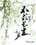 首席的独家宠爱免费观看
